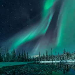 Northern Lights Winter Night