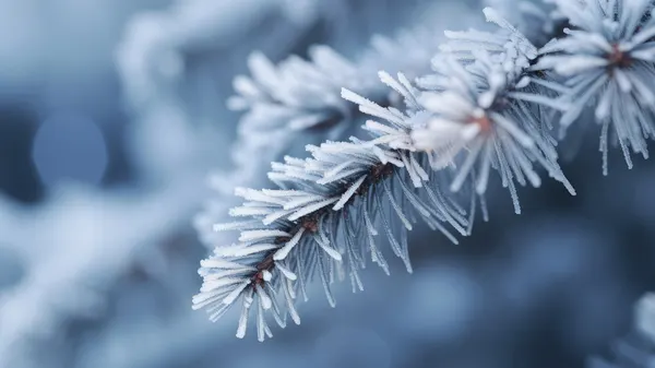 Frosty Whispers by Treechild