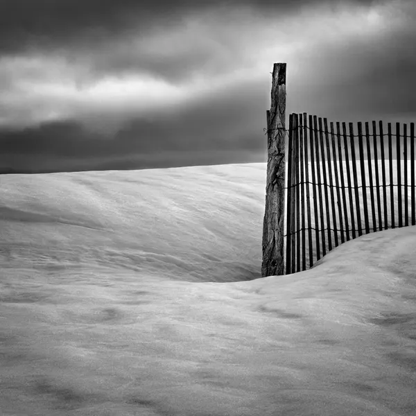 Stark Winter Fence by Elisabeth van Helden