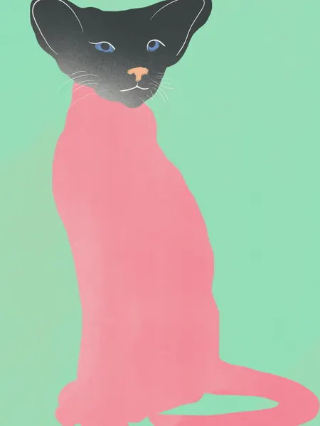 Elegant Pink Cat by Little Dean