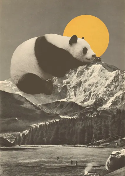Giant Panda Mountain Slumber by Florent Bodart
