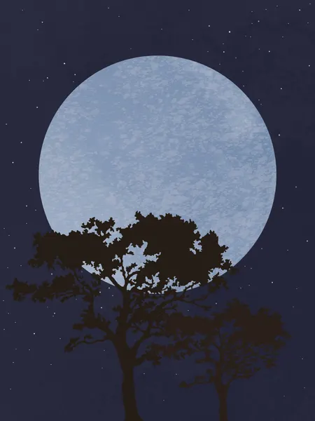 Moonlit Night Trees by Pictufy Studio II