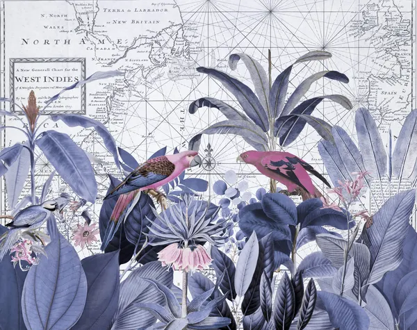 Pink Parrots Tropical Map by Andrea Haase
