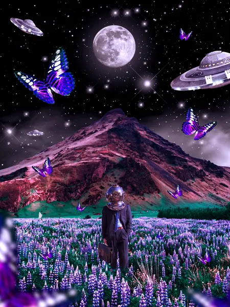 Astronaut Purple Fields by Ritvik takkar