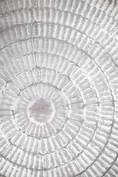 Abstract Concentric Pattern by Pictufy Studio III