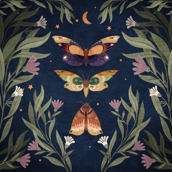 Moth Nocturne by Emel Tunaboylu