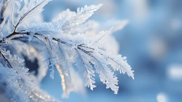 Frosted Elegance by Treechild