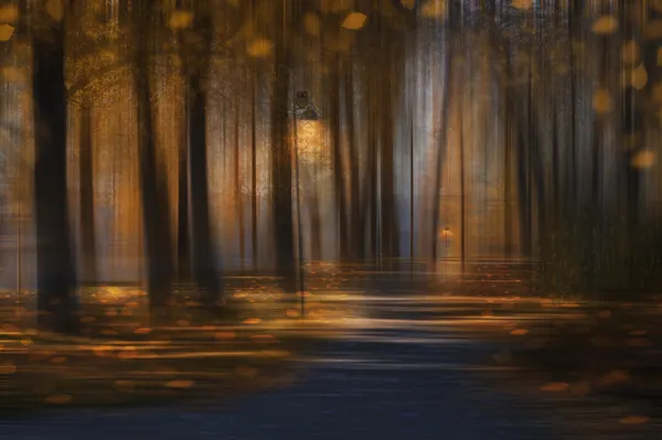 Autumn Park Glow by Nikki Georgieva V E G A N I K