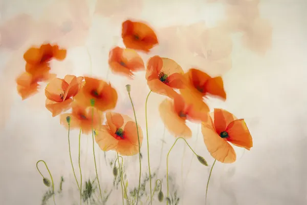 Waving in the wind by Nel Talen