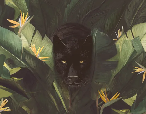 Black Panther Jungle Gaze by Florent Bodart