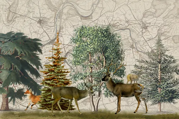 Forest Wildlife on Map by Andrea Haase