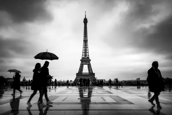 Eiffel Tower Rainy Reflection by Andrei Ionut Dascalu