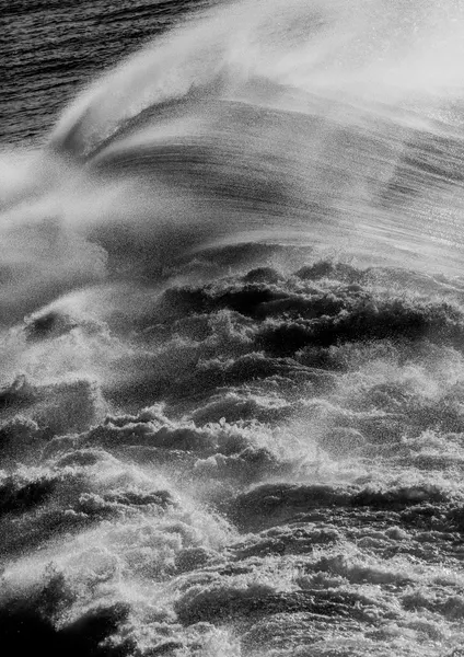 Oceanic Symphony by Shot by Clint