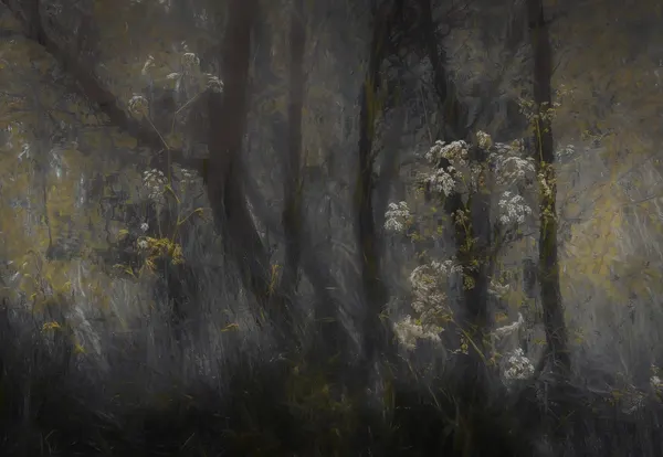 Cow parsley by Nel Talen