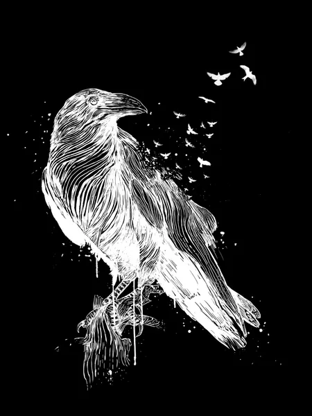 White Crow Freedom by Balazs Solti