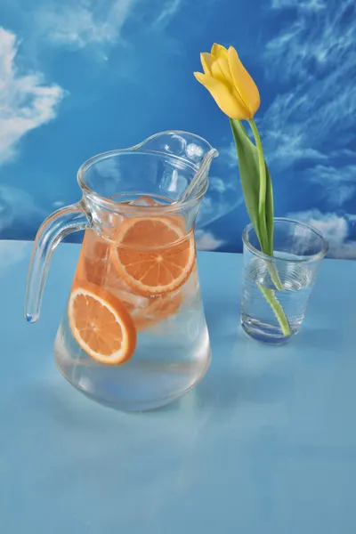 Refreshing Orange Tulip by Julia Ramiro