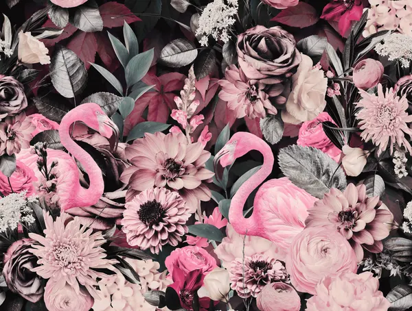 Pink Flamingo Dream by Andrea Haase