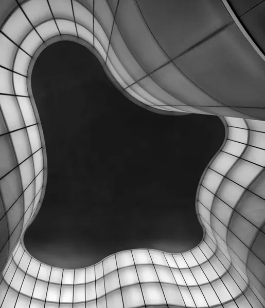 Dynamic Architectural Flow by Fiorenzo Rondi