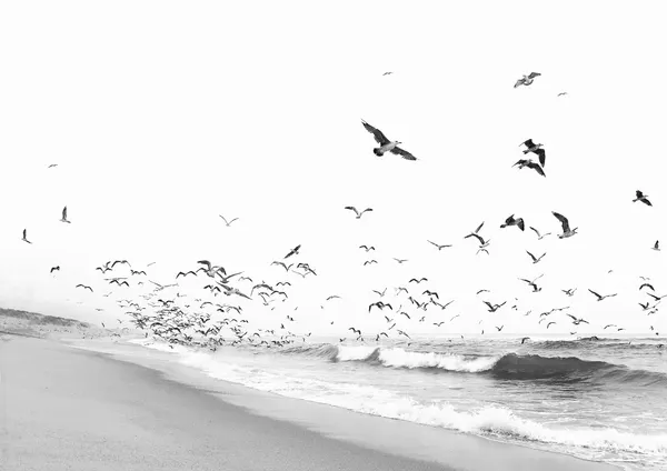 Seascape BW by Kathrin Pienaar