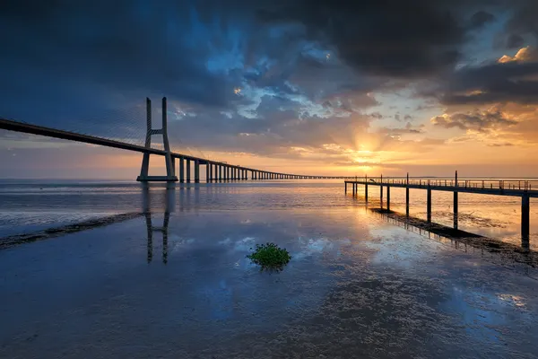 Long Bridge Sunset Reflections by Carlos Resende