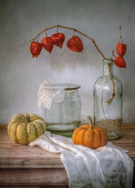 Still life with Physalis and Pumpkin by Mandy Disher