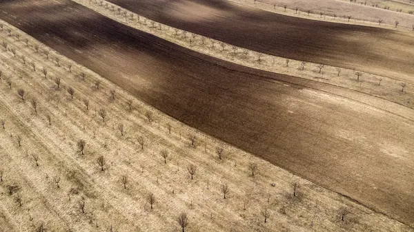 Waving Farm Fields by Joško Šimic