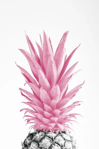 Tropical Pink Pineapple by Pictufy Studio III