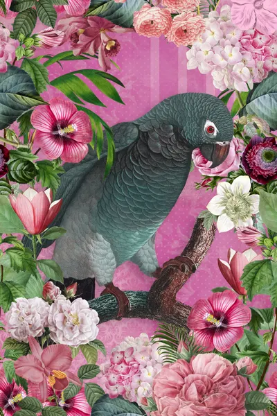 Tropical Parrot Bloom by Andrea Haase