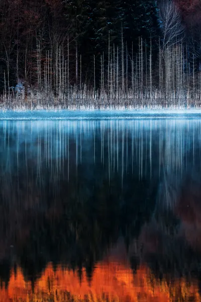 Misty Winter Lake Reflection by Dan Mirica