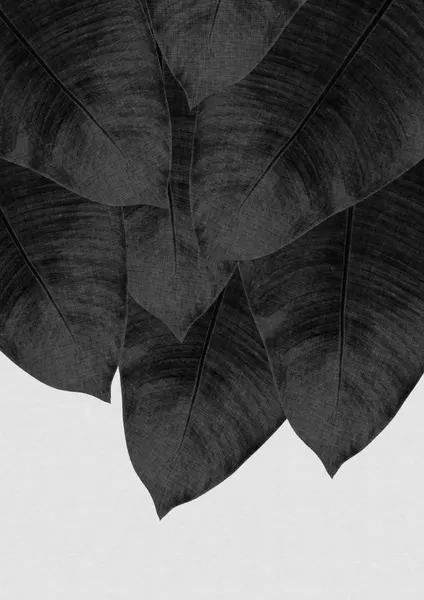 Dark Tropical Leaves by Orara Studio
