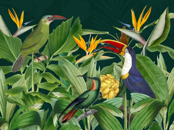 Vibrant Jungle Birds by Andrea Haase