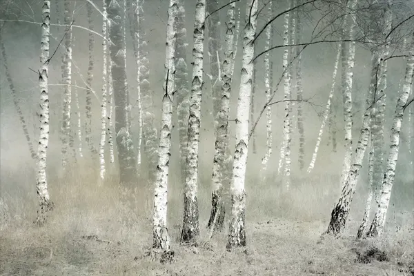 Morning silence by Nel Talen