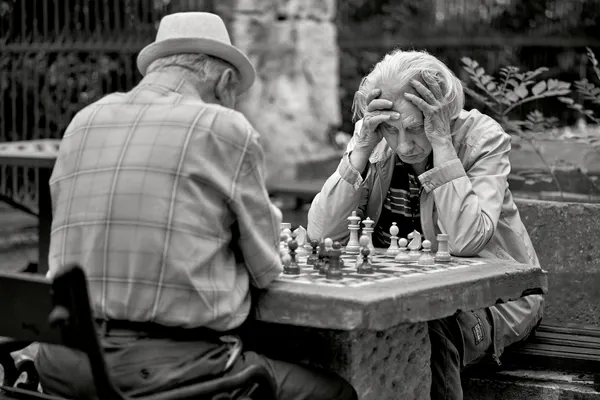 Thoughtful Chess Game by Denis Malciu