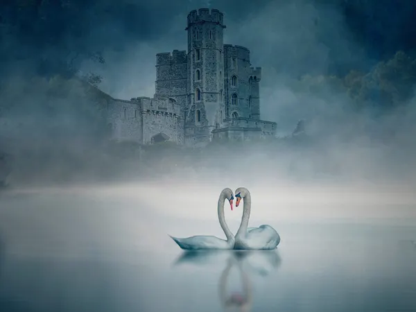 Love Swans Castle by Jiahong Zeng