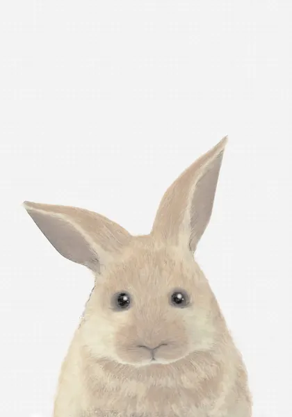 Cute Fluffy Bunny by Pictufy Studio II