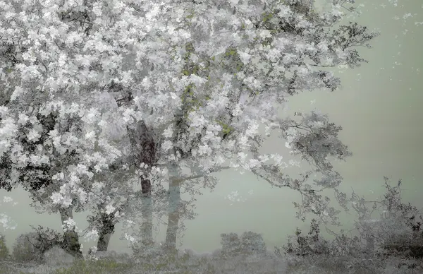 Spring by Nel Talen