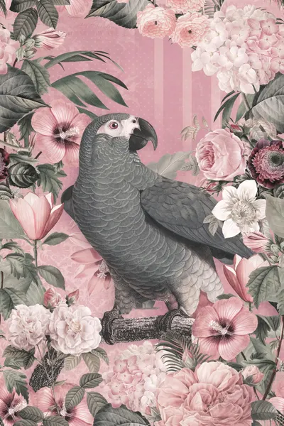 Elegant Parrot Blooms by Andrea Haase