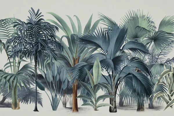 Lush Tropical Palm Jungle by Andrea Haase