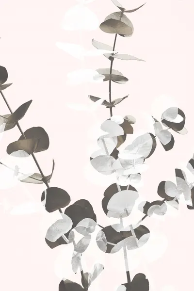 Soft Eucalyptus Branches by Pictufy Studio III