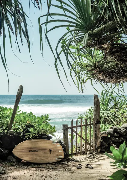 Coastal Serenity by Shot by Clint