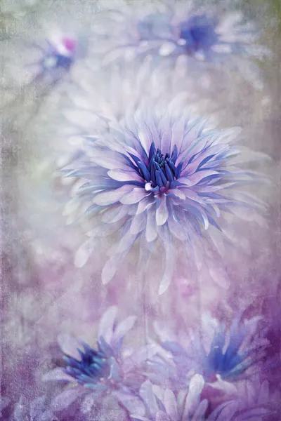 Dreamy Blue Flowers by Jacky Parker
