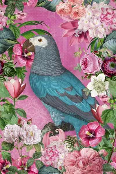 Exotic Parrot Pink Flowers by Andrea Haase