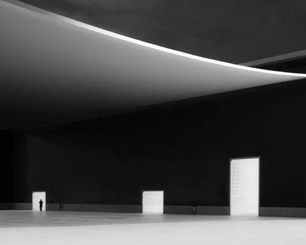 Solitary Figure Grand Hall by Olavo Azevedo