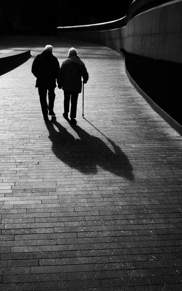 Elderly Couple's Journey by Selaru Ovidiu