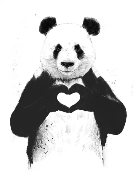 Panda Heart Hands by Balazs Solti
