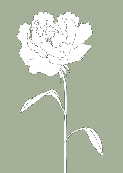 Elegant White Peony by Pictufy Studio II