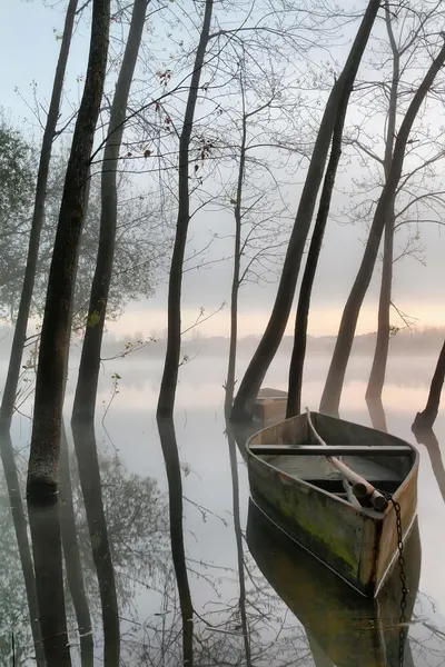 Misty Lake Boat by Rui David