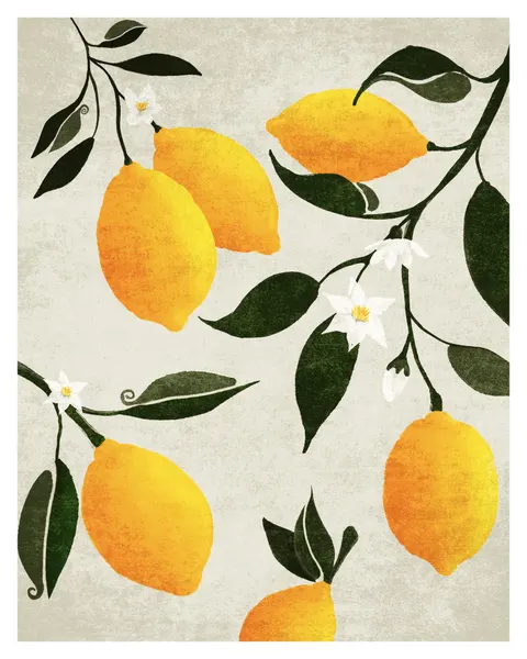 Citrus Symphony by Emel Tunaboylu