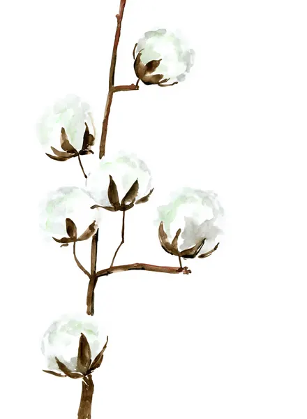 Delicate Cotton Branches by Rosana Laiz Blursbyai
