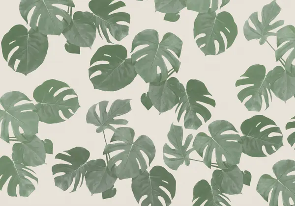 Green Monstera Pattern by Pictufy Studio II